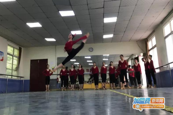 卓乐艺术培训加盟费