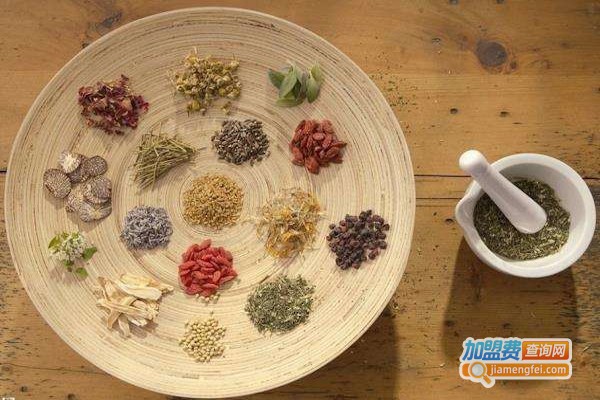 杨氏中药美容加盟费