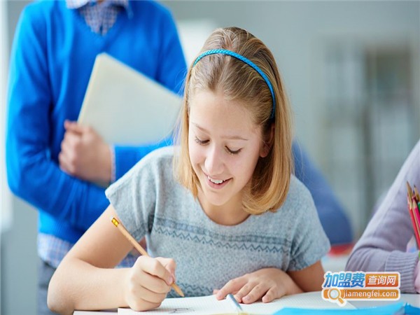 裤兜大语文加盟费