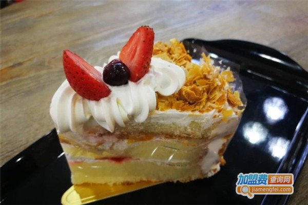 迪莉娅DELIA加盟费