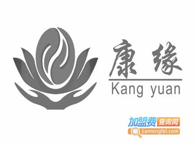 康缘美容加盟费