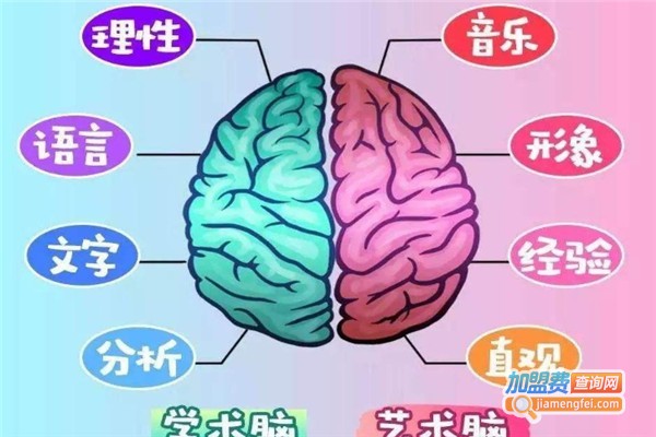 贝乐全脑教育