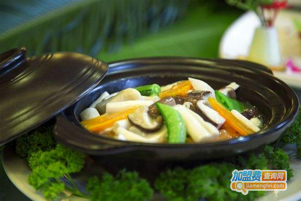 呀诺达雨林药膳加盟费