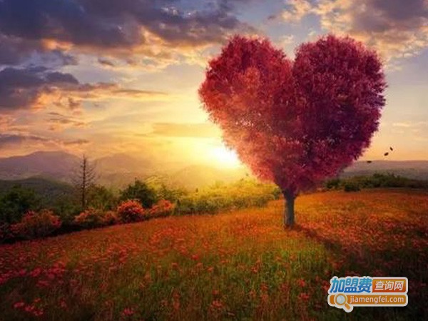 昊天教育加盟费