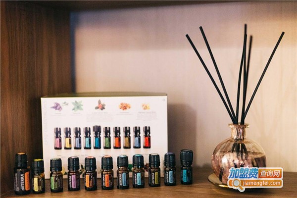 瑰翡美容养生会所加盟费