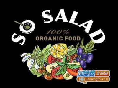 SO SALAD瘦沙拉加盟费
