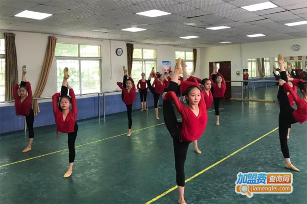 卓乐艺术培训加盟费