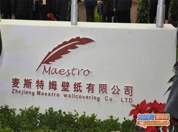 麦斯特姆硅藻泥加盟费