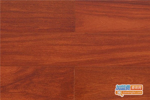 二翅豆实木地板加盟