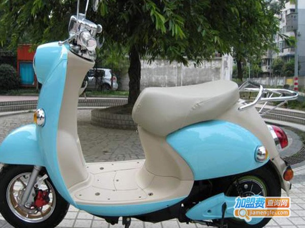 龙族星电动车加盟费