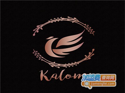 嘉诺美艺术壁材加盟费