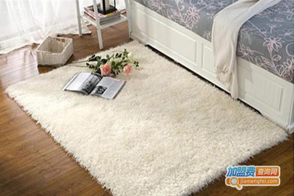 大达地毯加盟门店