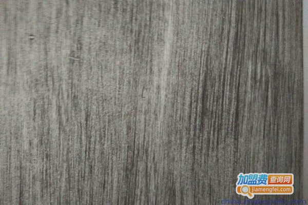 美国大师艺术涂料加盟费