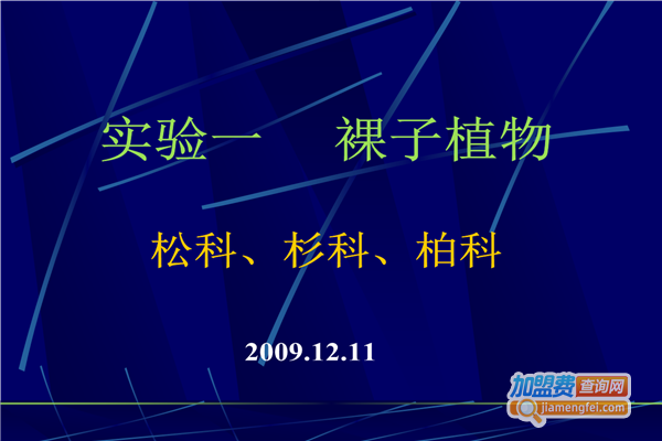 柏科管理教育加盟费