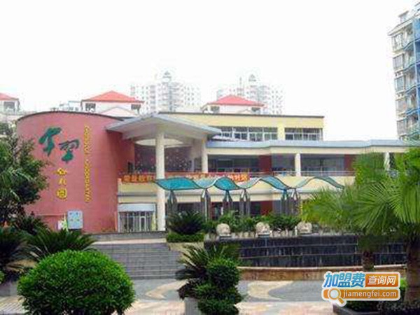 布吉超群幼儿园加盟店