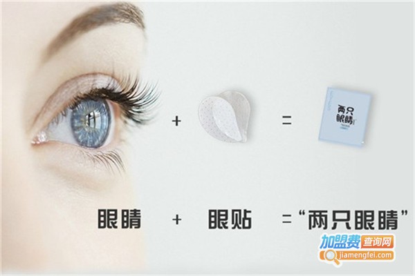 两只眼睛视力防治中心加盟费