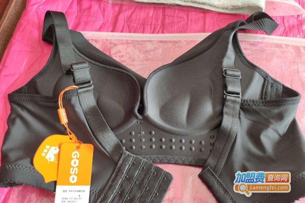 美丽干线内衣加盟费