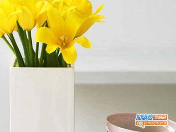 施彩乐涂料加盟费