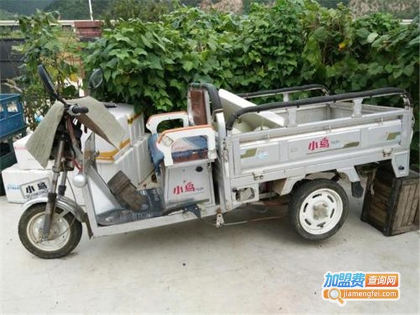 小鸟电动三轮车加盟门店