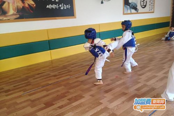 宏翰跆拳道加盟费