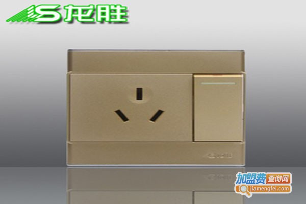 龙胜插座加盟门店