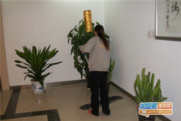 悦仁家政加盟费