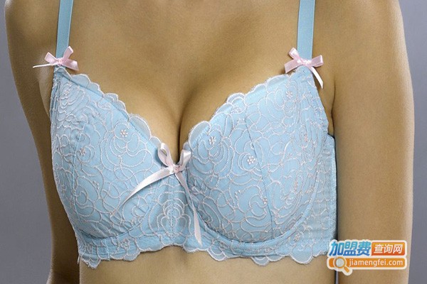 雅芝涵内衣加盟门店