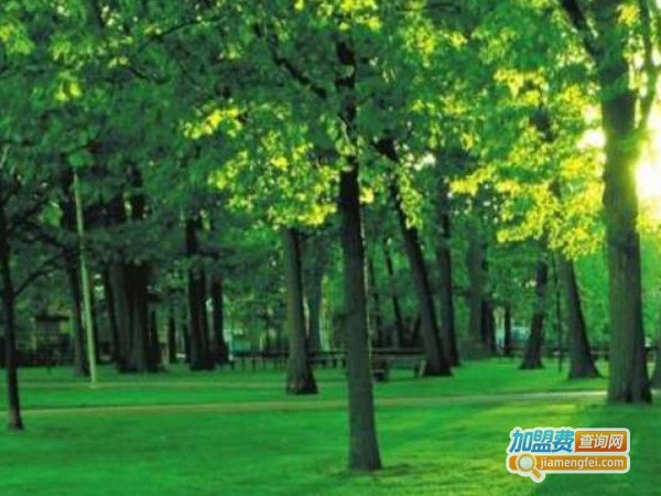 健康涂料加盟费