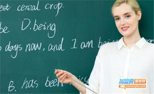 爱丽丝少儿英语加盟费