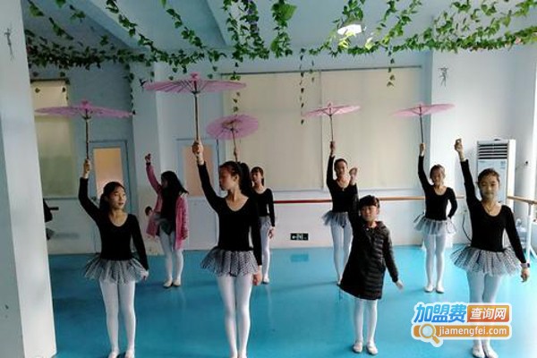 红飘带舞蹈学校加盟