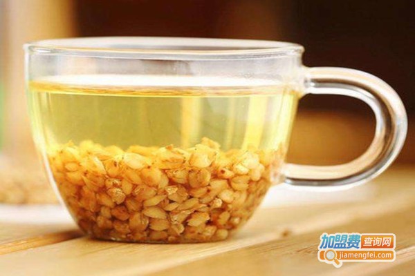 汇荞苦荞茶加盟费