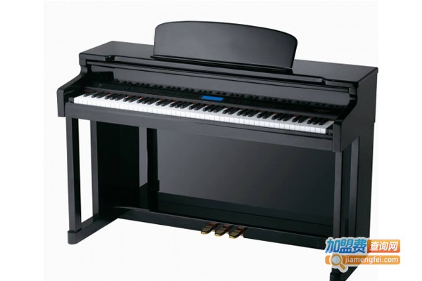 乐斯智能钢琴加盟