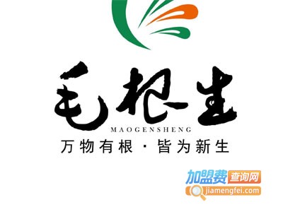 毛根生加盟
