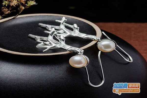 追银族饰品加盟费