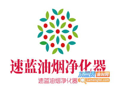 速蓝油烟净化器加盟费