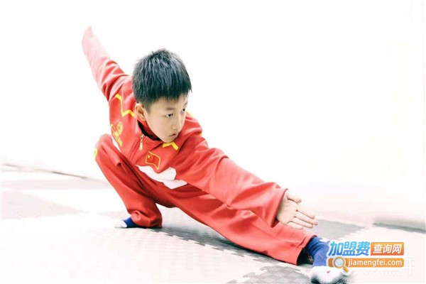 武极武术馆加盟门店