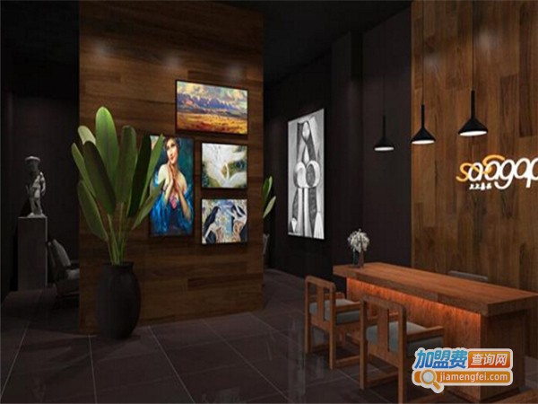 上上嘉品头部SPA馆加盟费