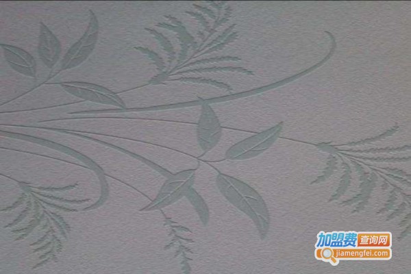 帝气硅藻泥加盟费