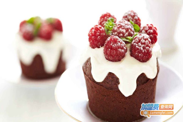 群康蛋糕加盟费