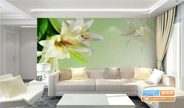 爱尔福特全景画加盟费