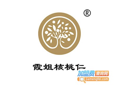 霞姐核桃仁加盟费