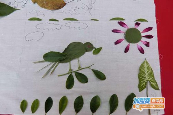 恒博斯教育加盟费