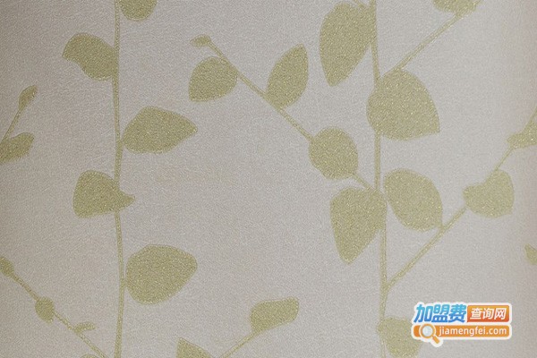 绿橙硅藻泥加盟门店