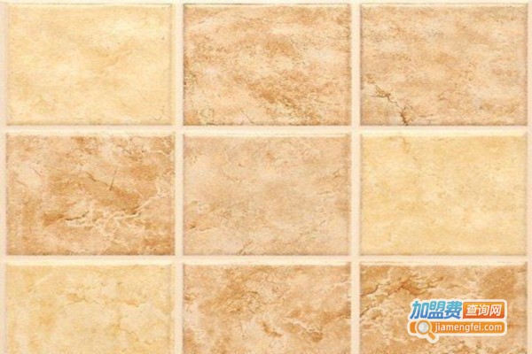 伊丽莎白仿古砖加盟费