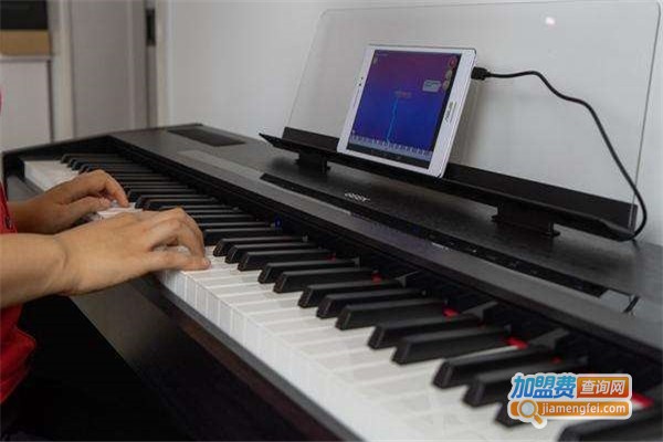 乐斯智能钢琴加盟