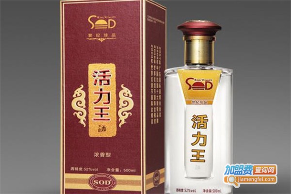 活力王白酒加盟费