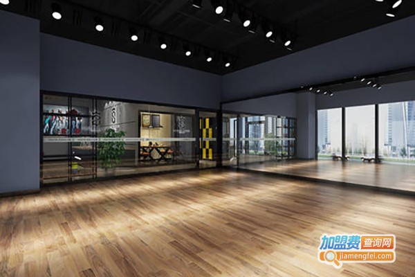 dl舞蹈培训加盟费