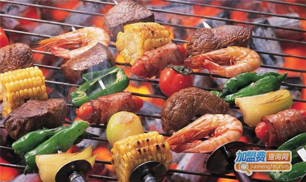 抚琴第一烤加盟费