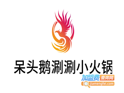 呆头鹅涮涮小火锅加盟费