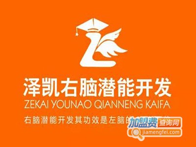 泽凯右脑潜能开发